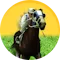 Horse Racing Games